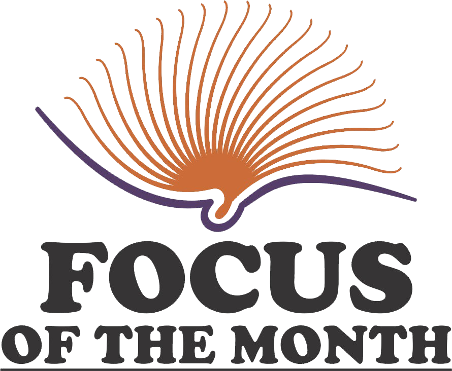 Focus of the Month